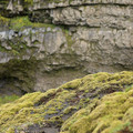 grass-sprouting-through-moss-on-buckling-rock-formations_7815909566_o.jpg