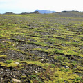 icelandic-moss-and-rocks_7815813992_o.jpg