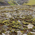 moss-and-rocks_7815897462_o.jpg