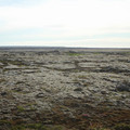 most-of-iceland-is-a-field-of-volcanic-rock_7815804580_o.jpg