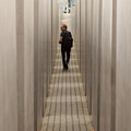 submerged-in-the-berlin-holocaust-memorial_7815784832_o.jpg