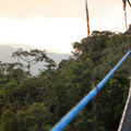 frank-chilling-on-the-canopy-walk_7586972984_o.jpg