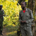 our-mountain-gorilla-guide-and-ak-47-equipped-guard_7586923404_o.jpg