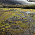 mossy-rocks-into-glacier_10022884183_o.jpg