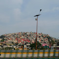 hill-with-buildings_35276168185_o.jpg