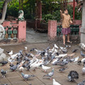 feeding-birds-2_25955293688_o.jpg