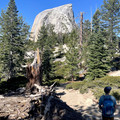 IMG_6647.jpeg