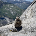 IMG_6688.jpeg