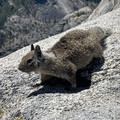 IMG_6690.jpeg
