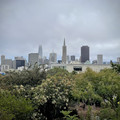 IMG_6728.jpeg