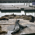 IMG_6749.jpeg
