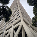 IMG_6759.jpeg