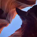 IMG_6876.jpeg