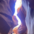 IMG_6901.jpeg
