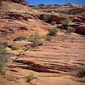 IMG_6906.jpeg
