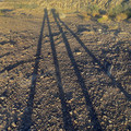 IMG_6919.jpeg