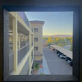 IMG_6923.jpeg