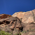 IMG_6929.jpeg