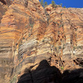 IMG_6933.jpeg