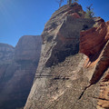 IMG_6942.jpeg