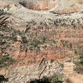 IMG_6947.jpeg