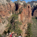 IMG_6956.jpeg
