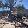 IMG_6960.jpeg