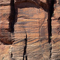IMG_6973.jpeg