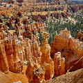 IMG_6993.jpeg