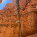 IMG_7002.jpeg