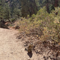 IMG_7008.jpeg