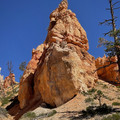 IMG_7012.jpeg