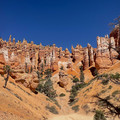 IMG_7020.jpeg