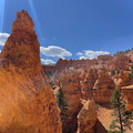 IMG_7024.jpeg