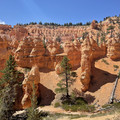 IMG_7026.jpeg