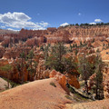 IMG_7031.jpeg