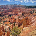 IMG_7043.jpeg